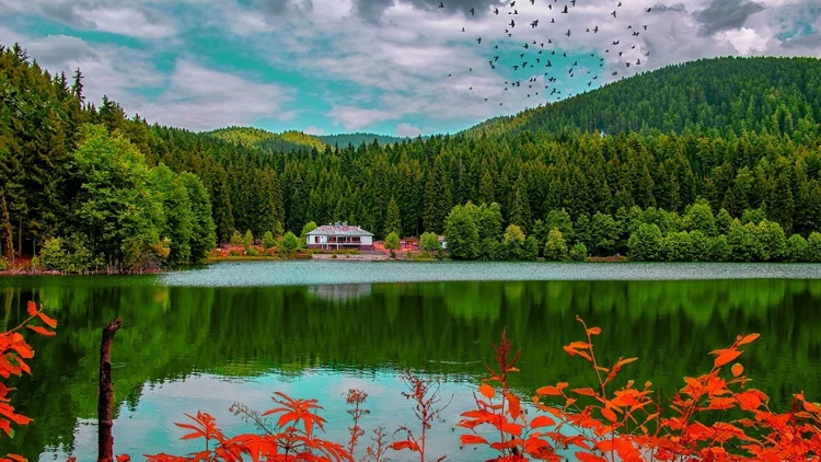 Doğanın Güzellikleri: Tabiat Galerisi