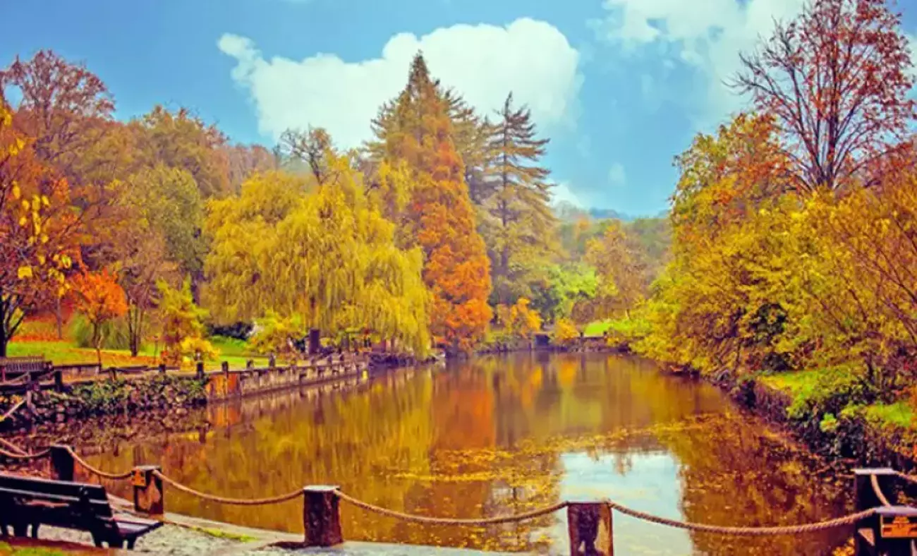 Doğanın Güzellikleri: Tabiat Galerisi