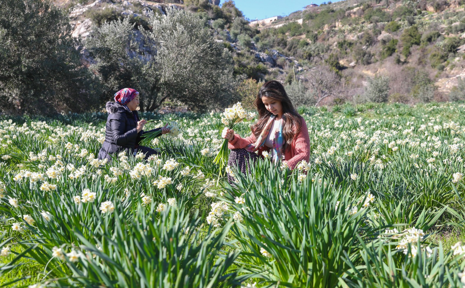 MERSİN BÜYÜKŞEHİR’İN NERGİS PROJESİ KIRSAL KALKINMAYA DESTEK OLUYOR (2)