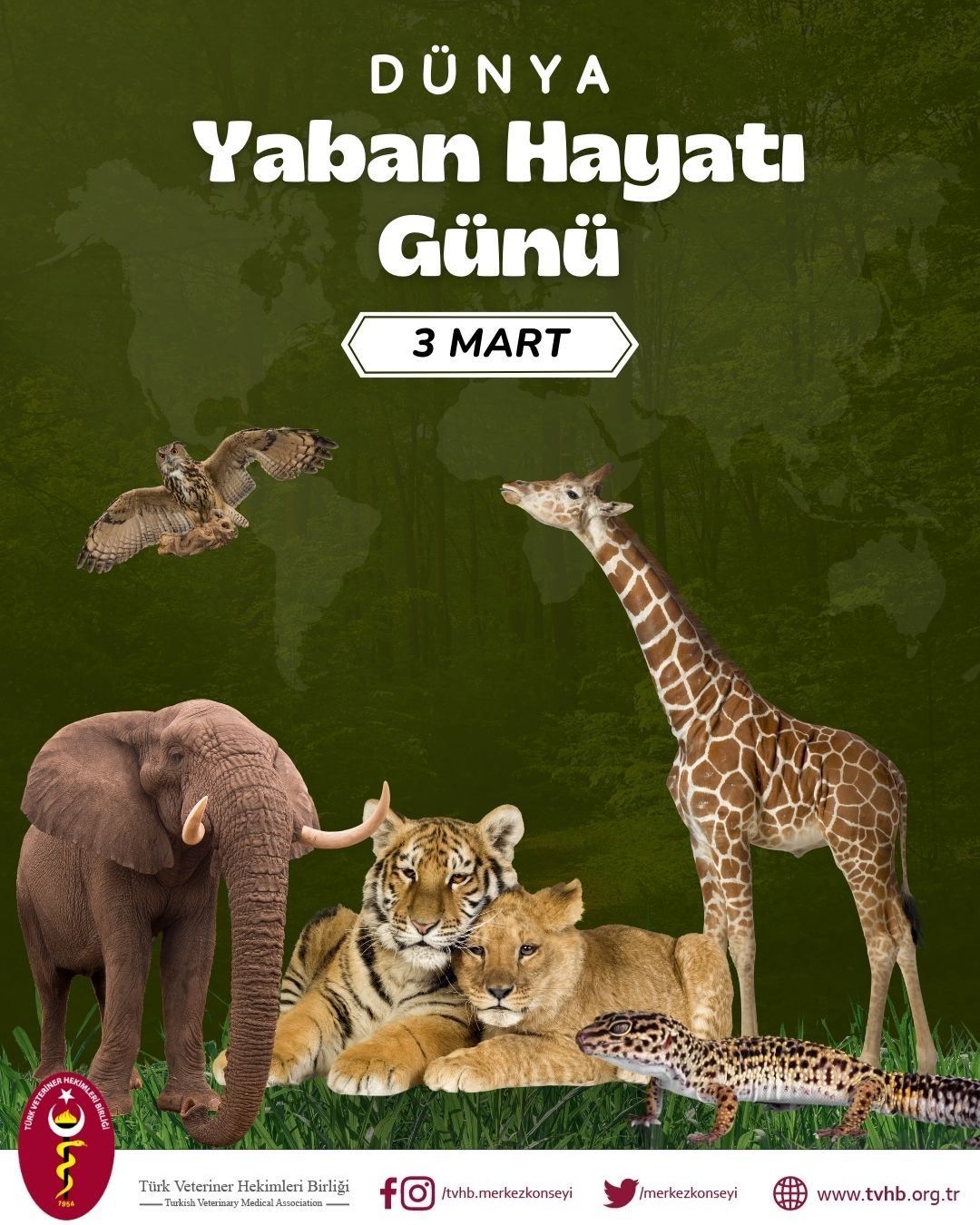 3 Mart Dünya Yaban Hayatı Günü Görsel 3 Mart Dünya Yaban Hayatı Günü Görsel