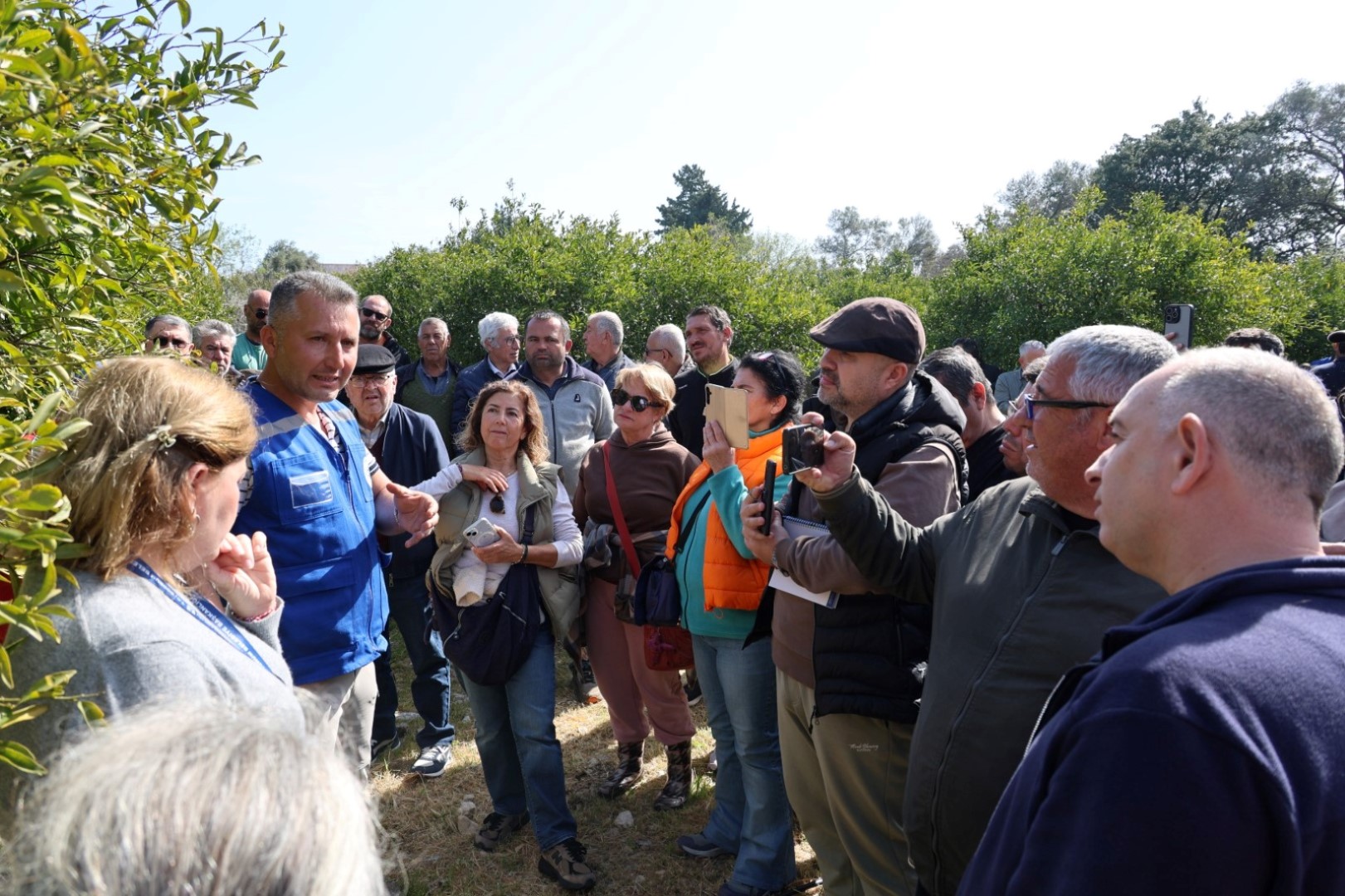 bodrum_belediyesi_bodrumda_ağaç_budama_eğitimi_düzenlendi (12)