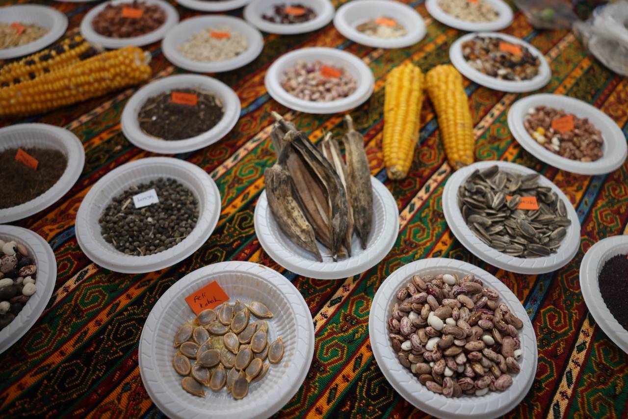 92411CCDA14443F113046080CE7E7F61_987499415874480_6w5ympe3jtwrwdqr6tja