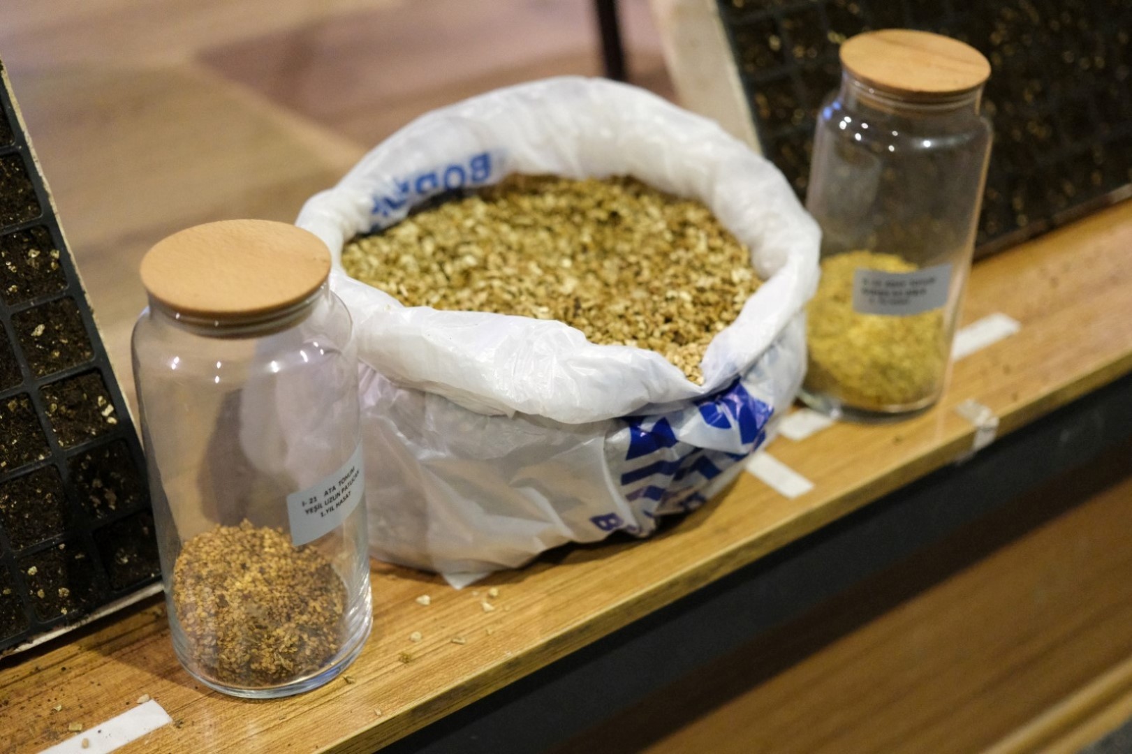 bodrum_belediyesi_orman_haftasi’nda_çocuklara_doğa_bilinci_aşilandi (2)