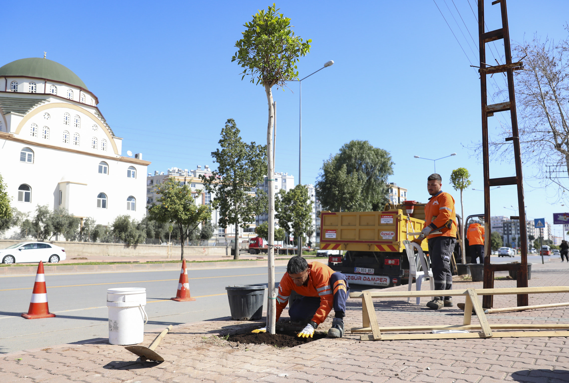MERSİN BÜYÜKŞEHİR’DEN ‘AĞAÇLANDIRMA KAMPANYASI’ (3)