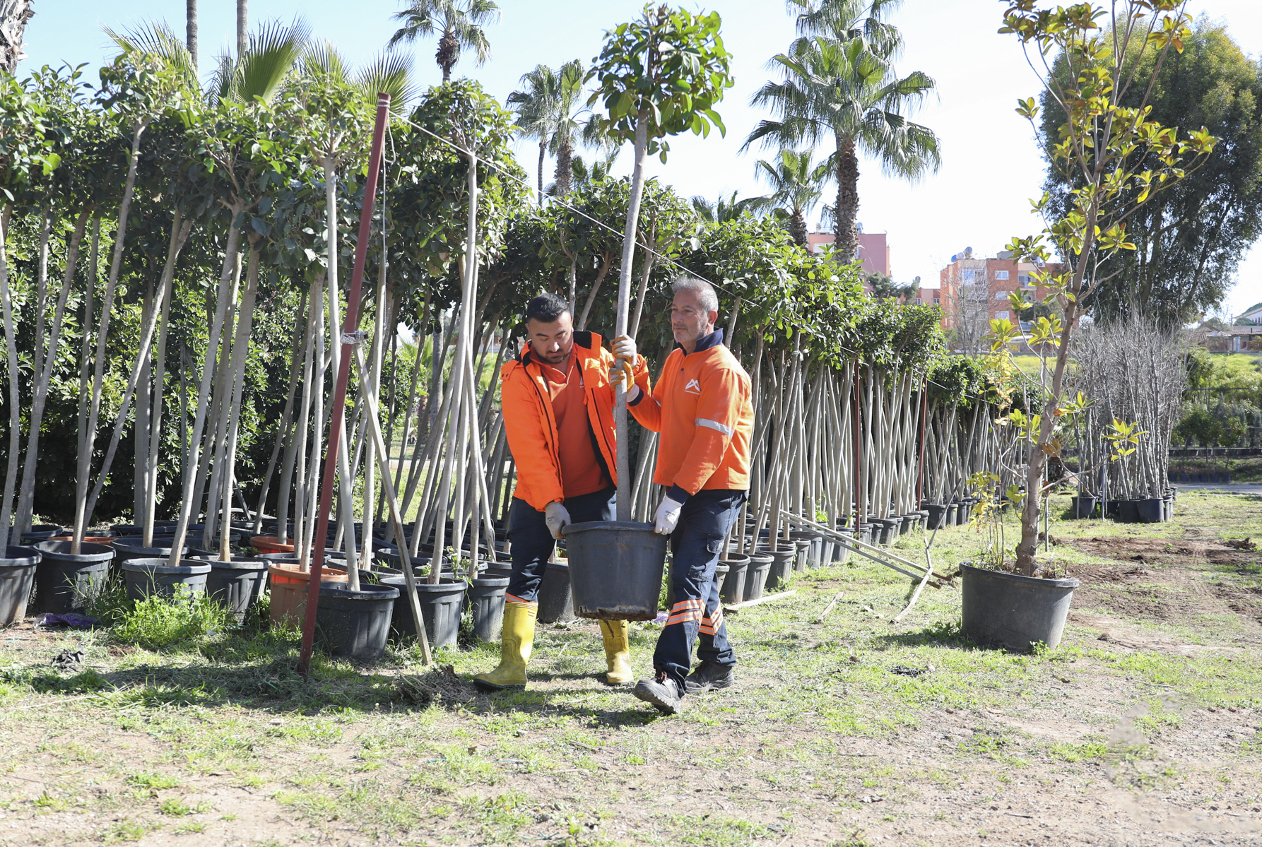 MERSİN BÜYÜKŞEHİR’DEN ‘AĞAÇLANDIRMA KAMPANYASI’ (5)