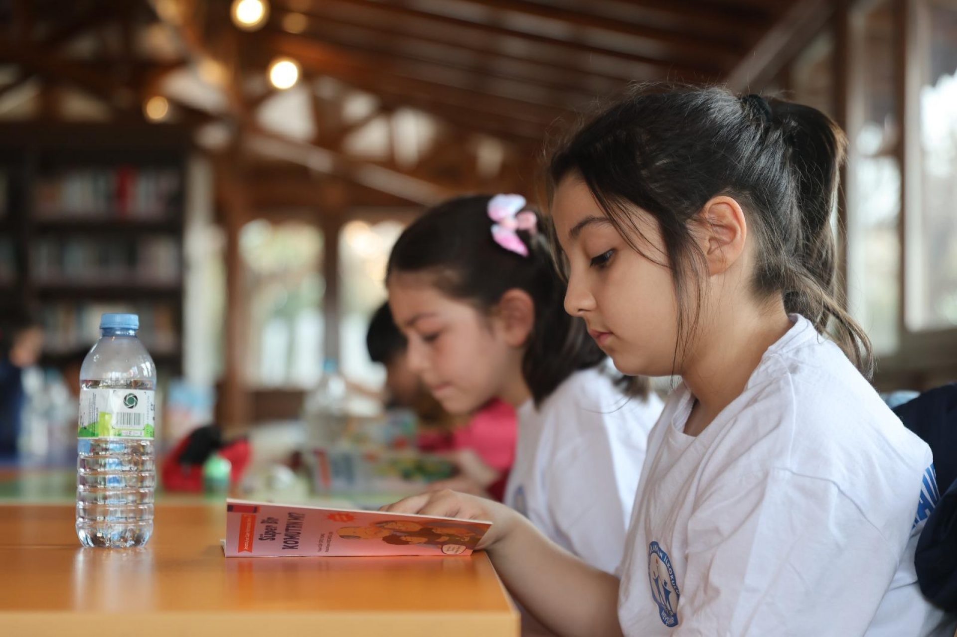 10868-490f901a30d688cbfc0f1346bc3fd524-nev_bel_kutuphane_005