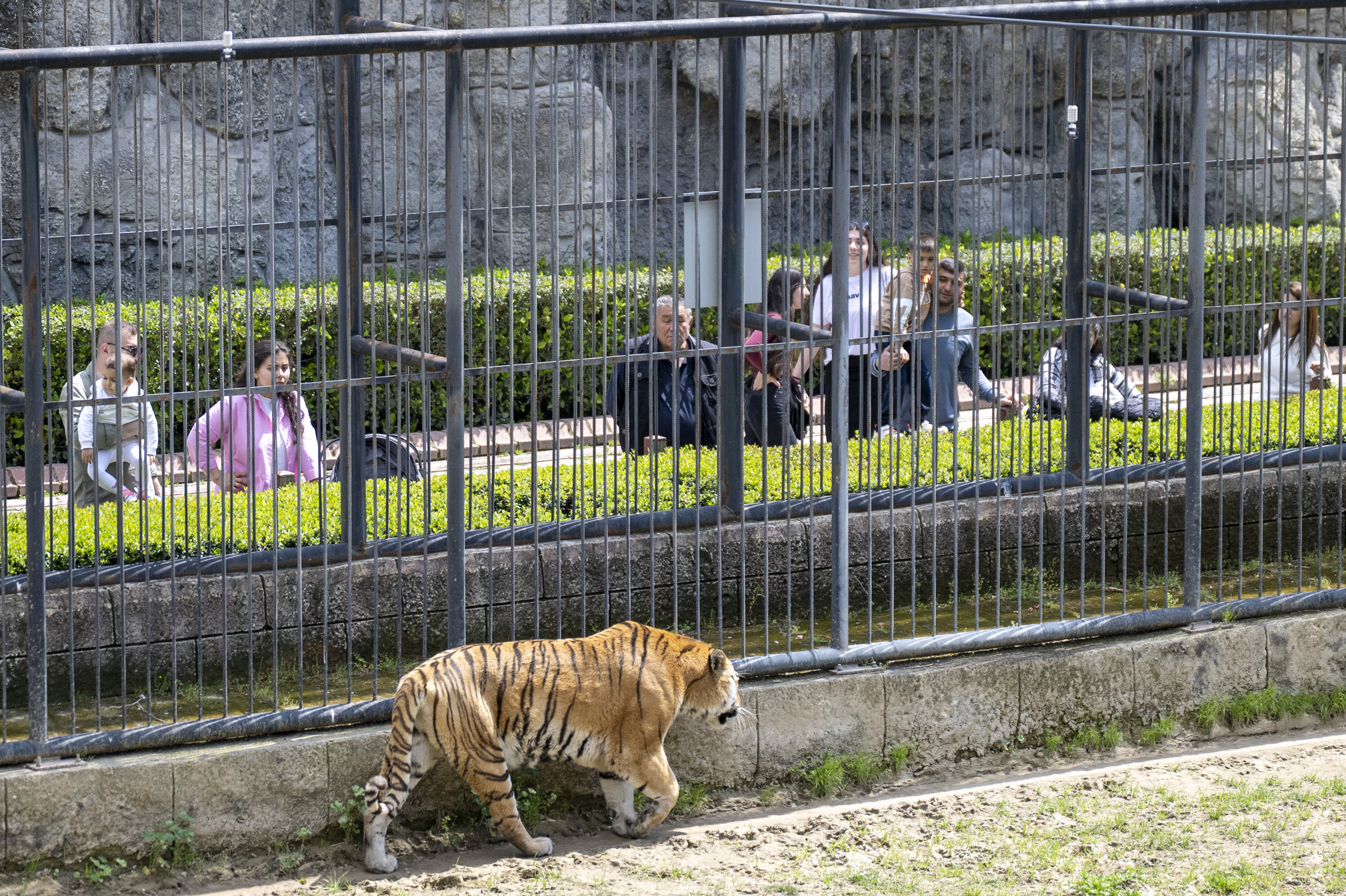 MERSİN BÜYÜKŞEHİR, EMEKLİLERİ DOĞAYLA BULUŞTURUYOR (5)