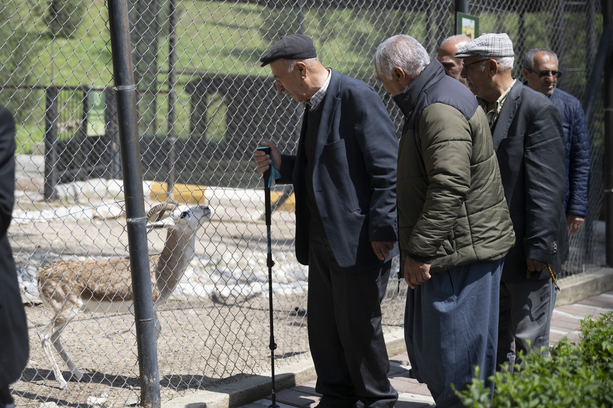 MERSİN BÜYÜKŞEHİR, EMEKLİLERİ DOĞAYLA BULUŞTURUYOR (2)