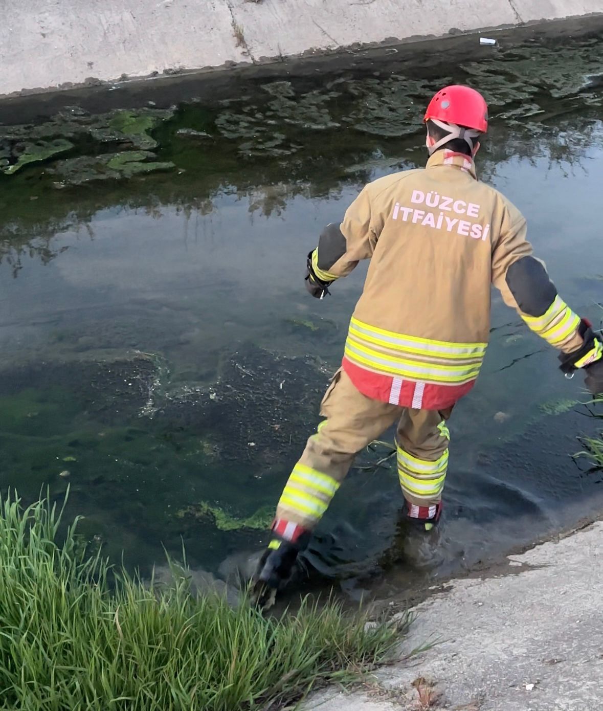 23773-kedi-kurtarma-7 23773-kedi-kurtarma-7