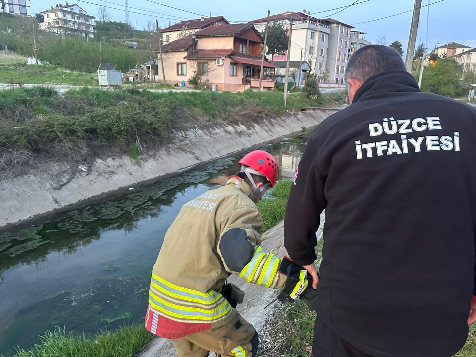 23767-kedi-kurtarma-1 23767-kedi-kurtarma-1