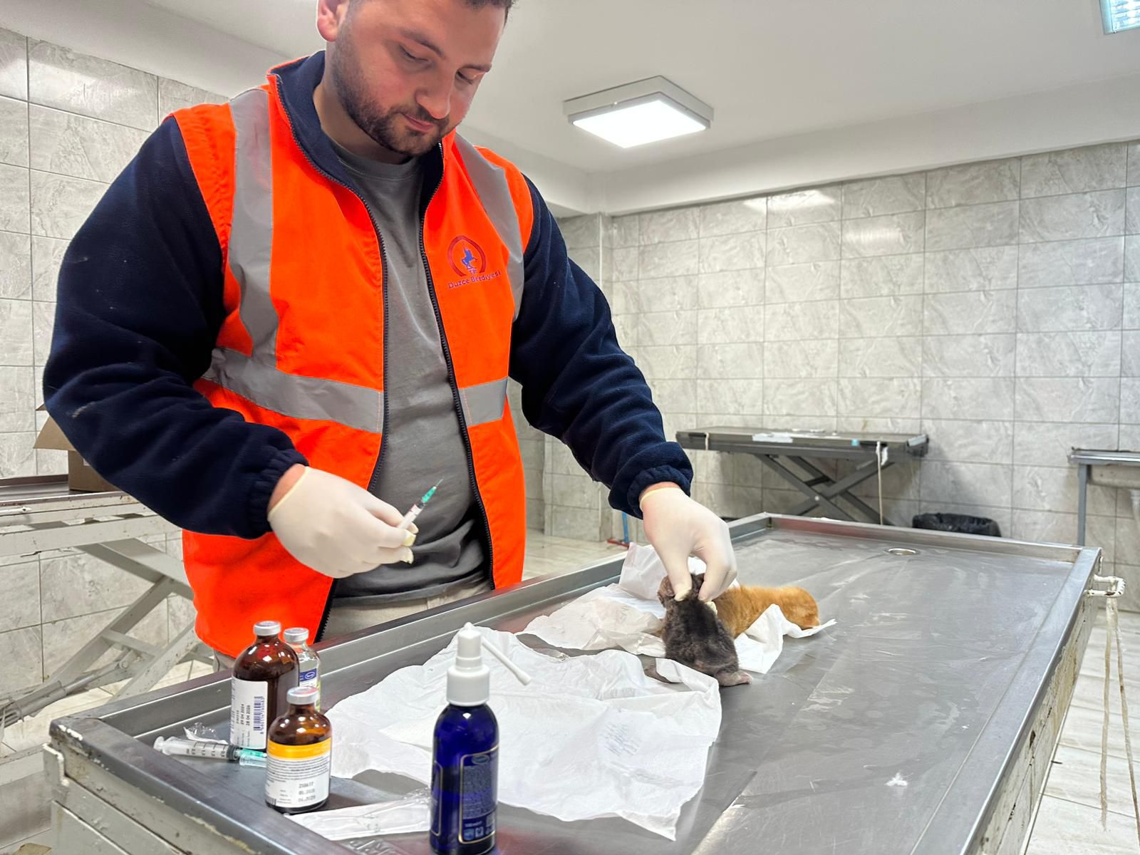 23769-kedi-kurtarma-3 23769-kedi-kurtarma-3