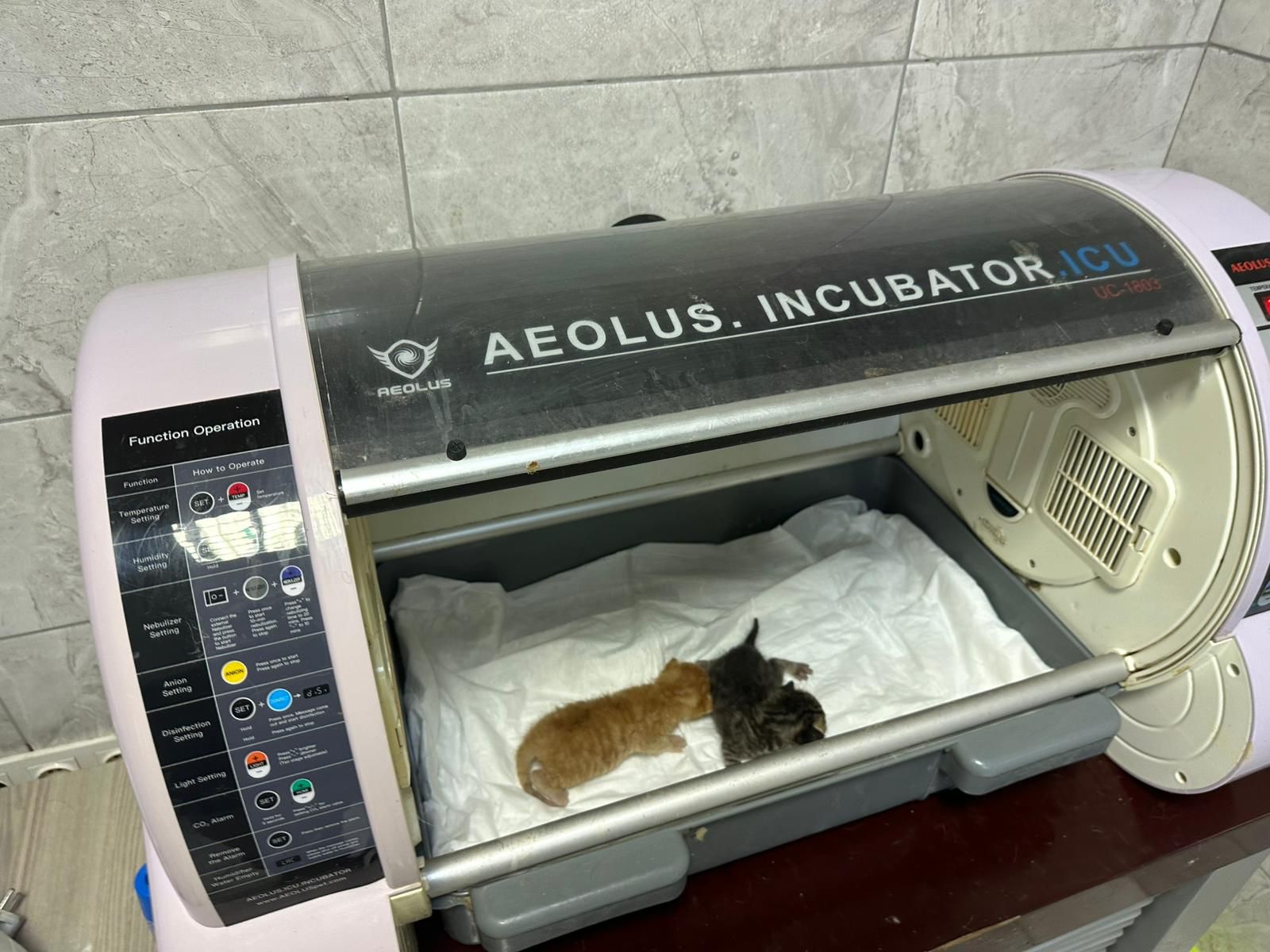 23771-kedi-kurtarma-5 23771-kedi-kurtarma-5