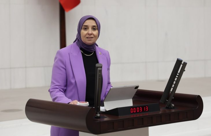 Elif Esen’den Tek Ebeveynli Aileler İçin Destek Çağrısı: “Bu Bir Fırsat Eşitsizliğidir”