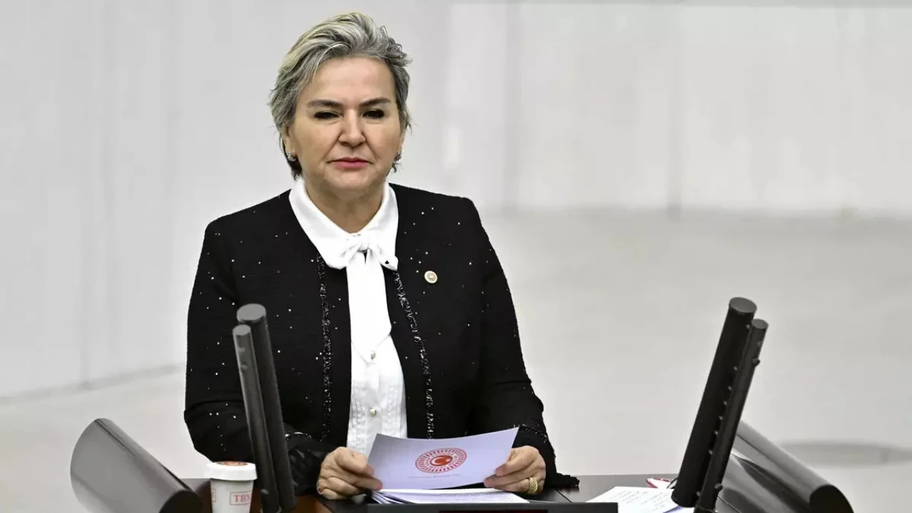 2024 yılında İYİ Parti'den CHP'ye katılan İstanbul Milletvekili Nimet Özdemir, CHP'den istifa etti.