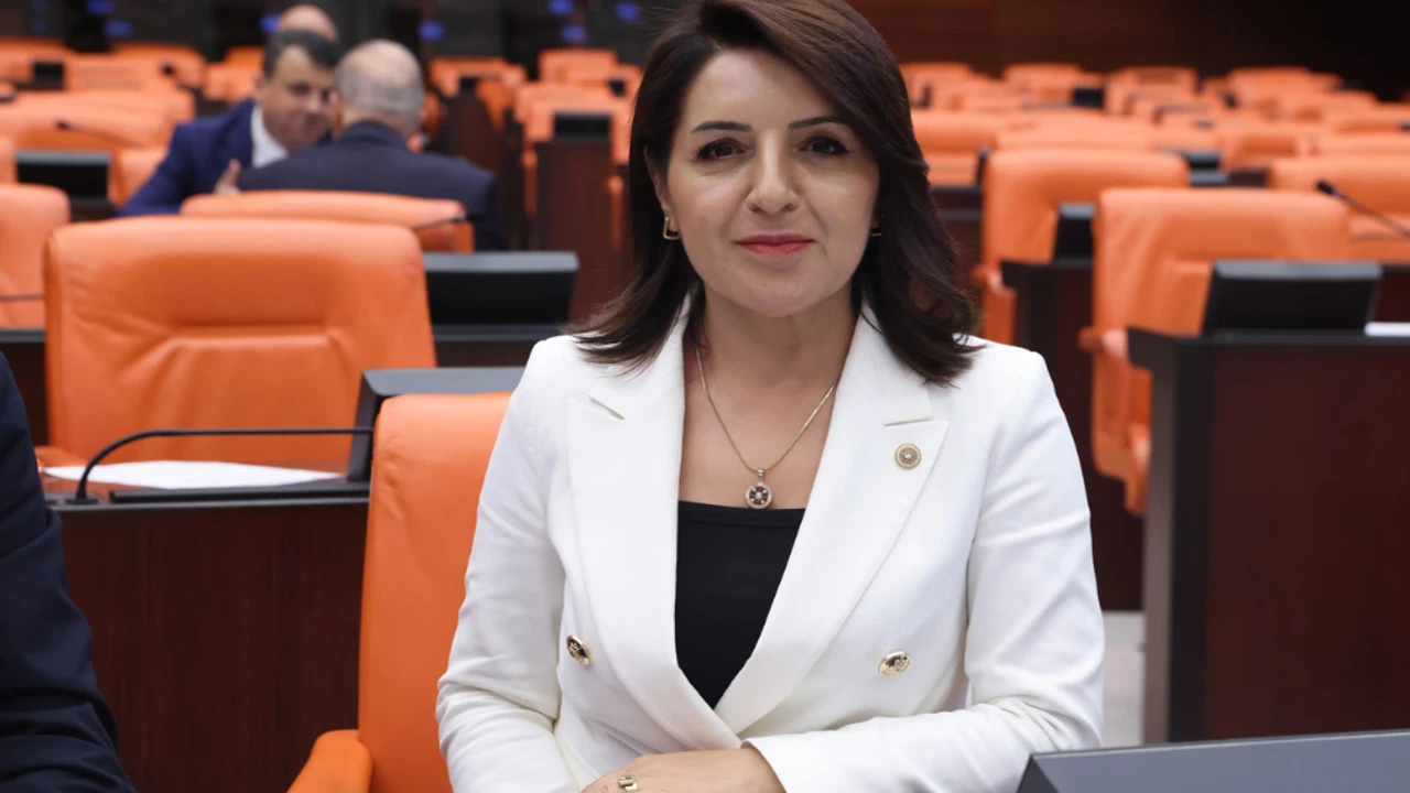 CHP'li Gülcan Kış: "TÜİK ile ENAG arasındaki fark vatandaşın yaşadığı hayat pahalılığını gözler önüne seriyor"