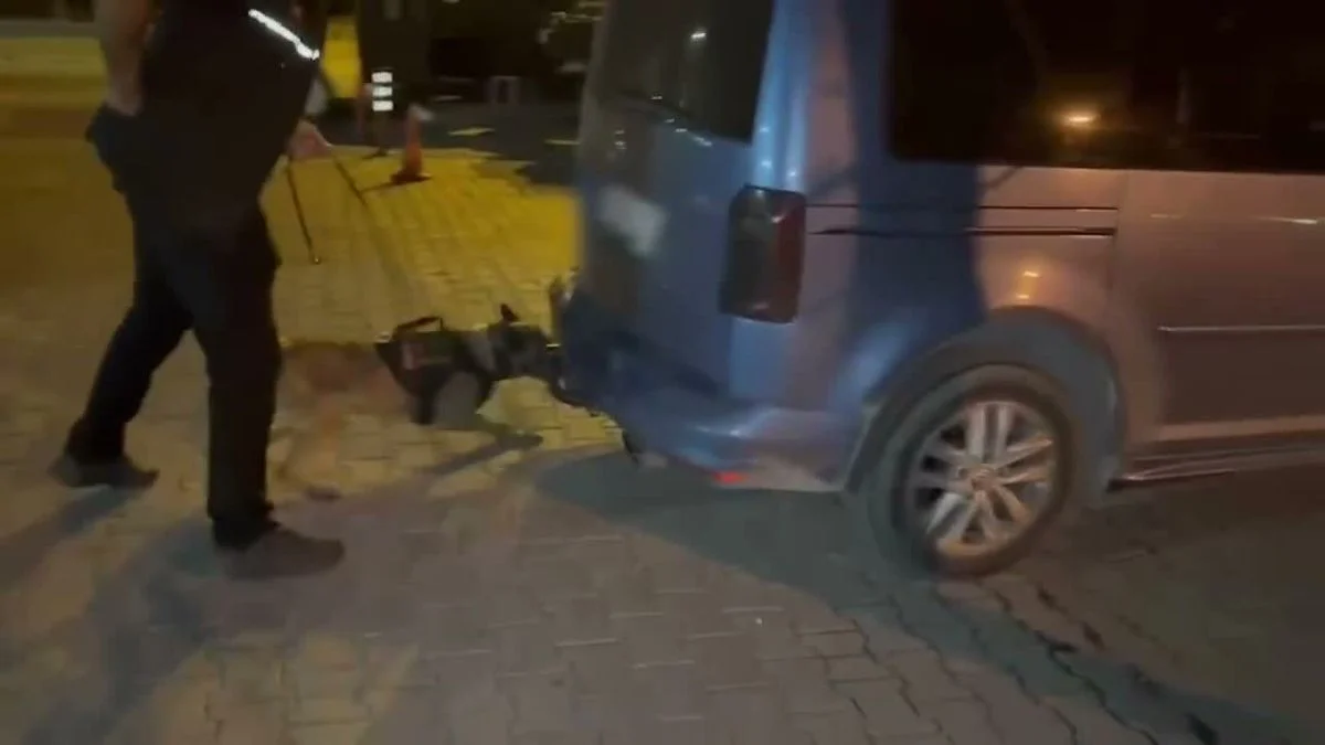71 ilde yasaklı madde operasyonu! 367 kg ele geçirildi
