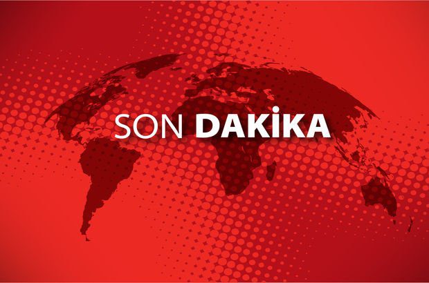 Ankara Valiliği: Polatlı’da bir kadını ve köpeği darp eden şüpheli gözaltına alındı!