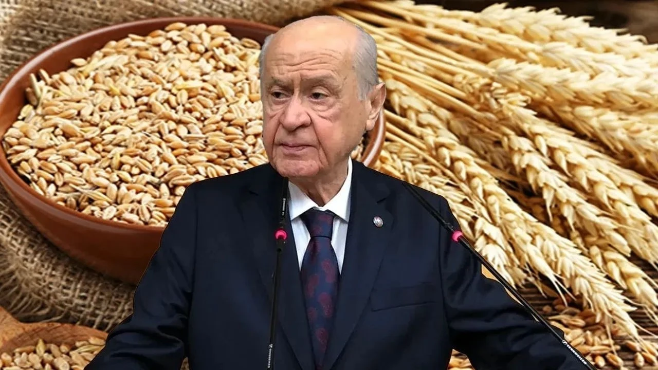 Bahçeli, “Askıda 9 Gülek Buğday Projesi”ni başlattı.