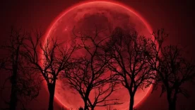 Kanlı Ay Bu Gece Gökyüzünde Görülecek  İki Buçuk Yıl Aradan Sonra, Bu Gece Ay, Kanlı Ay’a Dönüşerek Gökyüzünde Kızıl Bir Renge Bürünecek.