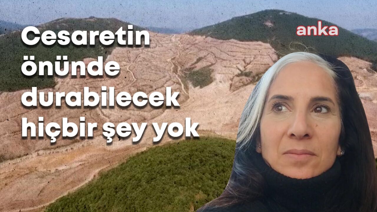 Doğa için mücadele eden kadınlar: ”Cesaretin önünde durabilecek hiçbir şey yok”