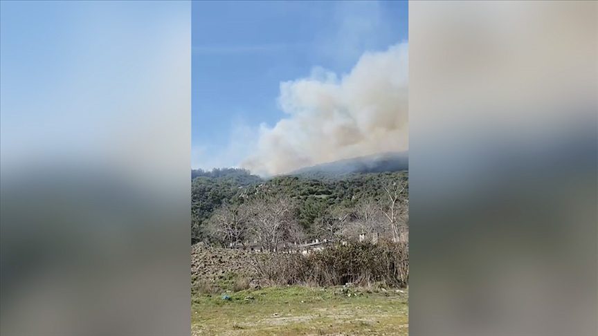 Çanakkale’de Korkutan Orman Yangını: “Rüzgarın etkisiyle Kısa Sürede Geniş Bir Alana Yayılan Yangına Ekipler Müdahale Ediyor”