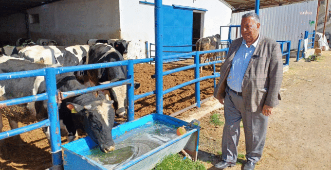 Vatandaş kurban alamıyor, üretici satamıyor