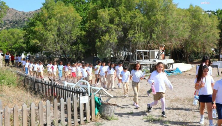 Bodrum Belediyesi kum zambağı etkinliğiyle yüzleri güldürdü