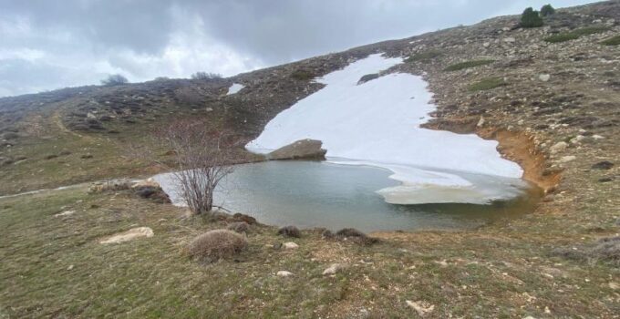 Cumhurbaşkanlığı genelgesiyle ‘Genel Tarım Sayımı’ ne zaman yapılacak?