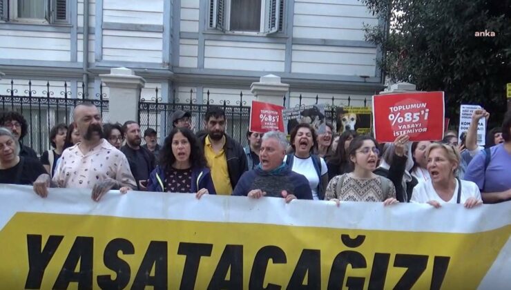 AYM kararına tepki… “Barınaklar kan kokuyor”