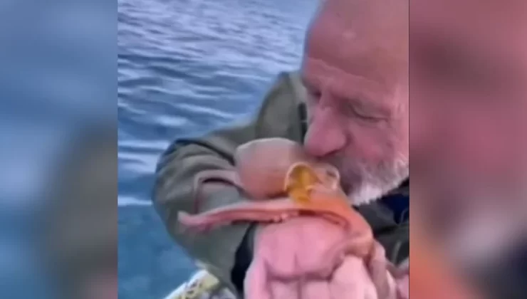 Balıkçının bir ahtapotu öperek sevdiği o anlar