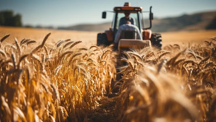 TÜİK’ten flaş açıklama: 2025 yılında bitkisel üretimde durumlar ne olacak?