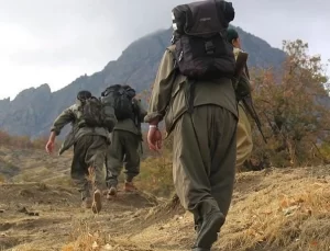 PKK silah bırakma ve fesih kararı aldığını duyurdu