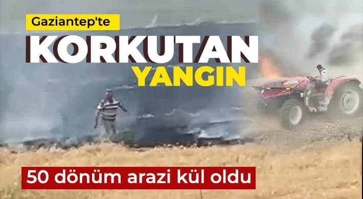 Gaziantep’te korkutan yangın: 50 dönüm arazi kül oldu