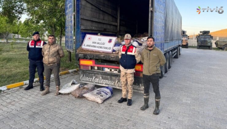 Avlanması yasak ama 19 ton ele geçirildi!