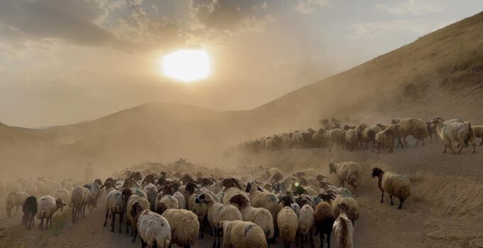 Nemrut’a uzanan yolculuk: Geleneksel yayla göçü işte böyle başladı