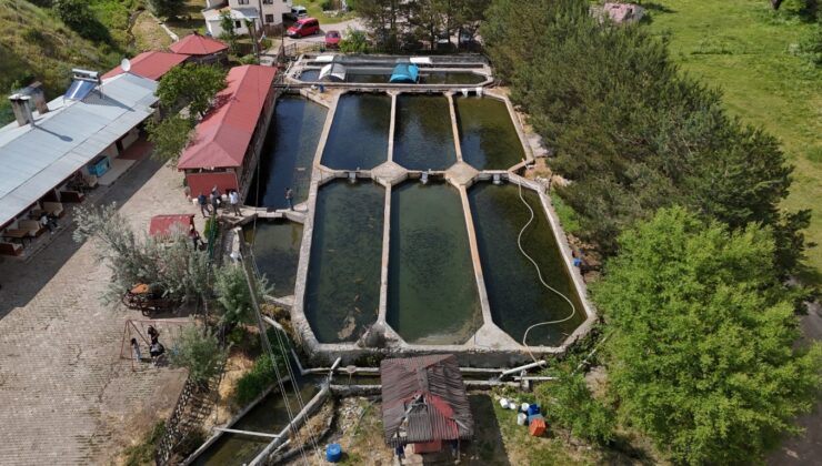 Denize kıyısı olmayan Sivas’tan Avrupa’ya balık ihracatı gururu!