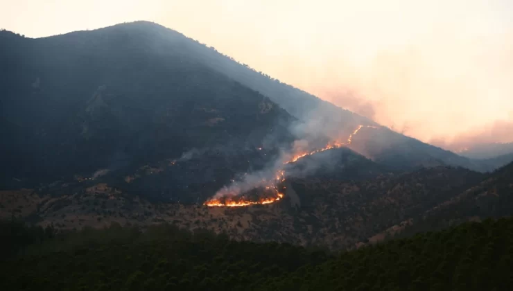 Kahramanmaraş’ta orman yangını iki gündür sürüyor