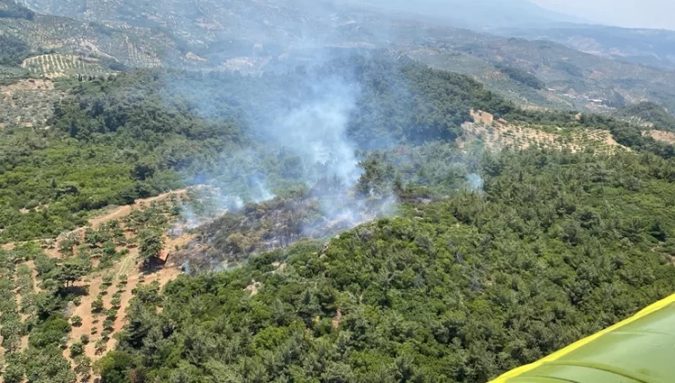 İzmir ve Aydın’da panik yaratan yangın: Müdahaleler devam ediyor