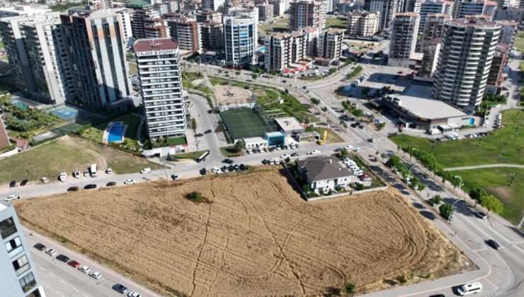 Bursa’da milyon dolarlık gökdelenlerin ortasında buğday hasadı