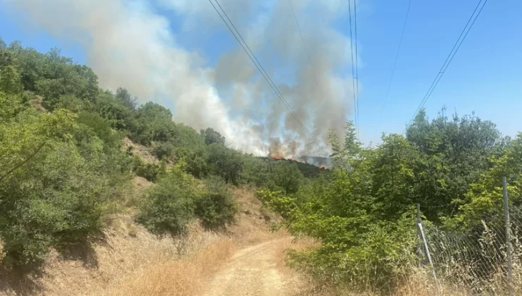 Bursa Yenişehir’de panik yaratan orman yangını!