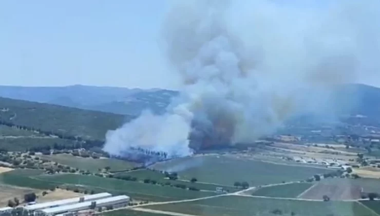İzmir’de orman yangını: 5 uçak ve 7 helikopterle müdahale sürüyor