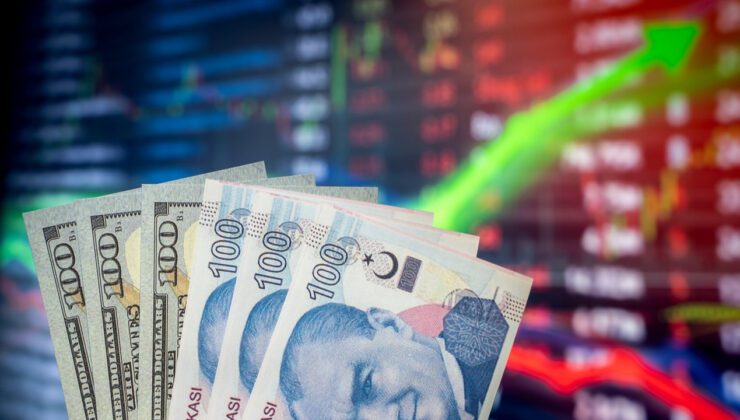 Türkiye Ekonomisi ve Asgari Ücretin Rolü: 2025 Perspektifi