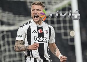 Serdal Adalı’nın Immobile için son kozu kadro dışı! Beşiktaş haberleri – Beşiktaş son dakika haberleri – Beşiktaş transfer haberleri – Beşiktaş Immobile haberleri
