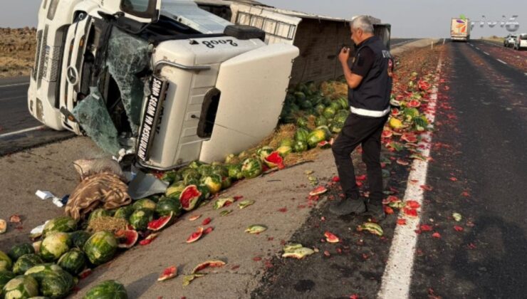 Yüzlerce karpuz yola saçıldı!