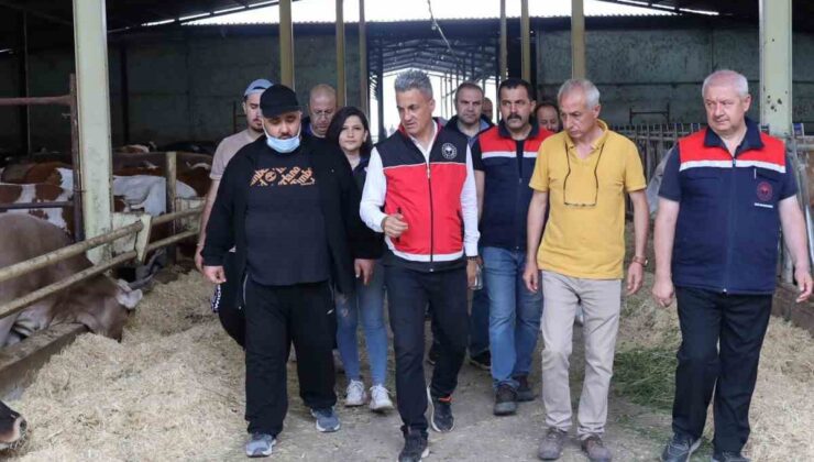 Bilecik’te Orman Yangını Sonrası Seferberlik: Üreticilere Hayvan ve Yem Desteği Sağlandı
