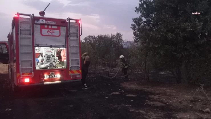 Diyarbakır Lice’de örtü yangınında 30 hektarlık alan zarar gördü