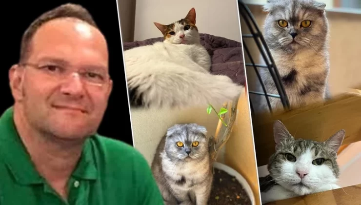 “Kedi Tüyü Ölüm Nedeni Değil: Sakarya’daki Yanlış Haber Tepki Çekti”