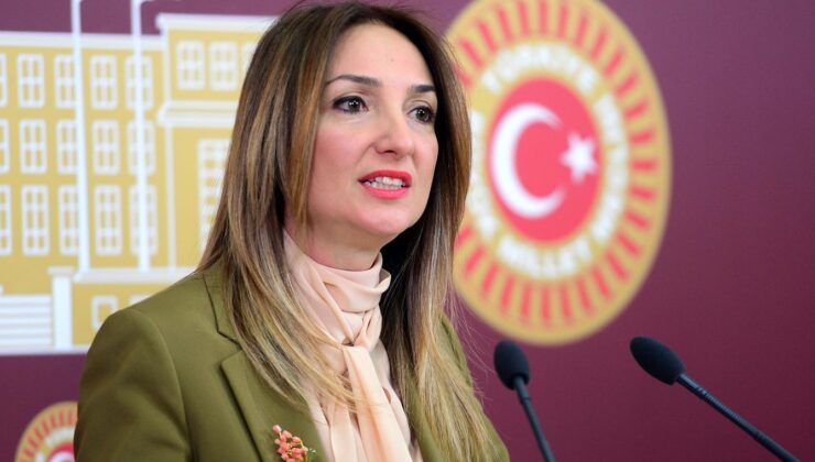 Aylin Nazlıaka: “Arda Bebeğin Ölümü Bakanlığın İhmaliyle Gerçekleşti”