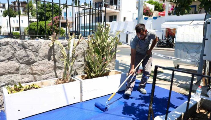 Bodrum’da “Farkındalık Sokakları” Projesi Başladı