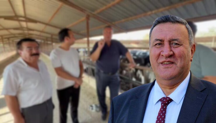 Şap hastalığı hayvancılığı vurdu: Üreticiler zararını karşılayacak destek bekliyor